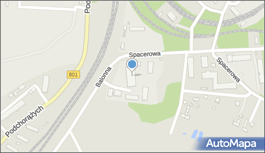 Sanechem, Balonna 2, Dęblin - Przedsiębiorstwo, Firma