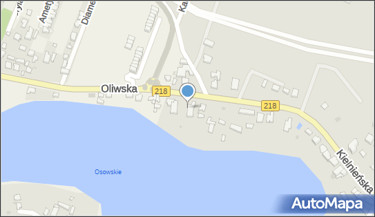 SAS, ul. Kielnieńska 187, Gdańsk 80-299 - Przedsiębiorstwo, Firma, numer telefonu, NIP: 9571055542