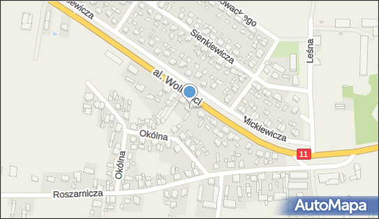 Saubar-Polska Piotr Karbowiak, Aleja Wolności 22, Witaszyce 63-230 - Przedsiębiorstwo, Firma, NIP: 6170008825