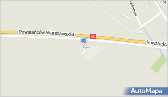 Savings, ul. Jesiennych Liści 18, Opole 46-020 - Przedsiębiorstwo, Firma, NIP: 9910501086