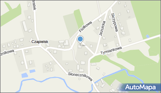 Sebastian Grzyb, Nasturcji 5, Czapielsk 83-050 - Przedsiębiorstwo, Firma, NIP: 6040160434