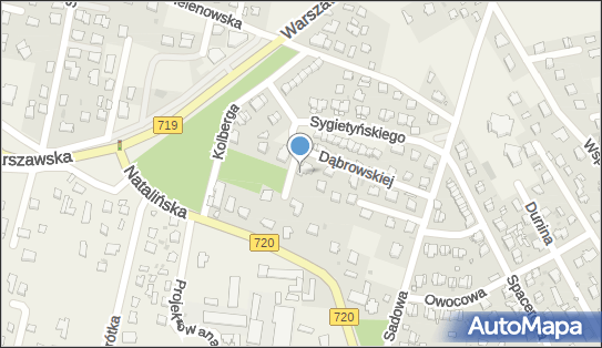 Serba, ul. Marii Dąbrowskiej 13, Otrębusy 05-805 - Przedsiębiorstwo, Firma, NIP: 5361867668