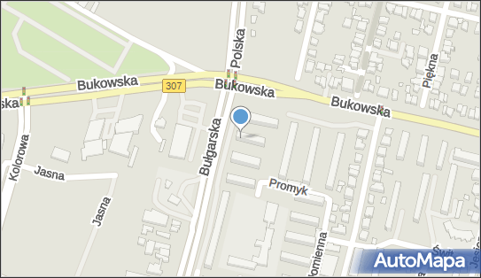 Serwis Instalacyjny, Bułgarska 154a, Poznań 60-384 - Przedsiębiorstwo, Firma, NIP: 7821691931