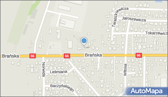 Shisha Kebab, ul. Brańska 108, Bielsk Podlaski 17-100 - Przedsiębiorstwo, Firma, NIP: 5431253843