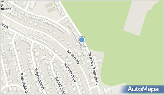 Sidor, ul. Kazimierza Tetmajera 56, Gdynia 81-421 - Przedsiębiorstwo, Firma, numer telefonu, NIP: 5862173132