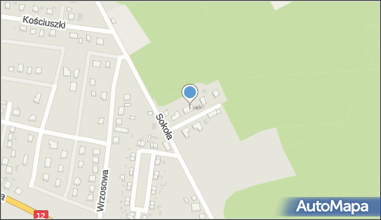 Sidy Diallo, Sosnowa 3, Przemków 59-170 - Przedsiębiorstwo, Firma, NIP: 5831881141