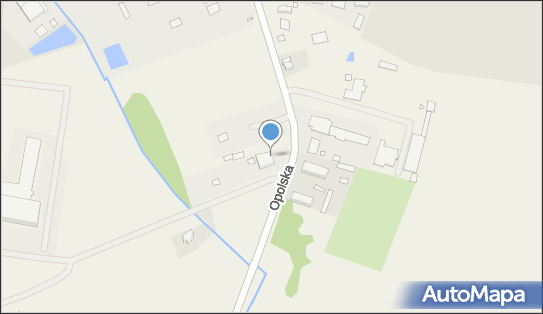 Siedlecki Krzysztof Zaklad Usług Transportowych, Opolska 2d 46-250 - Przedsiębiorstwo, Firma, NIP: 7511464709