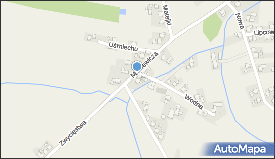 Sigmed, ul. Mickiewicza 59, Cisek 47-253 - Przedsiębiorstwo, Firma, numer telefonu, NIP: 7542750899