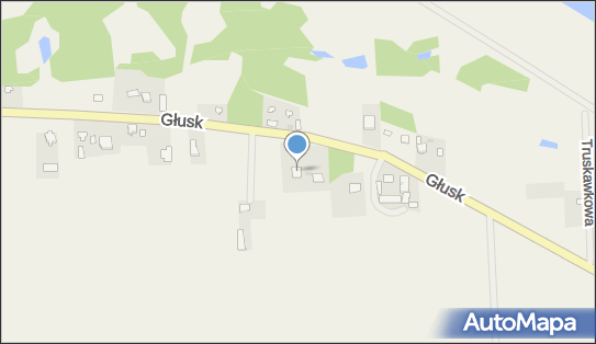 Sikora Management Group Wojciech Sikora, Głusk 26A, Głusk 05-155 - Przedsiębiorstwo, Firma, NIP: 7292004094