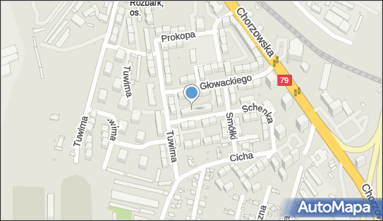 Silesia Vet Aleksandra Rolka Katarzyna Wilk, Bytom 41-902 - Przedsiębiorstwo, Firma, numer telefonu, NIP: 6262703013