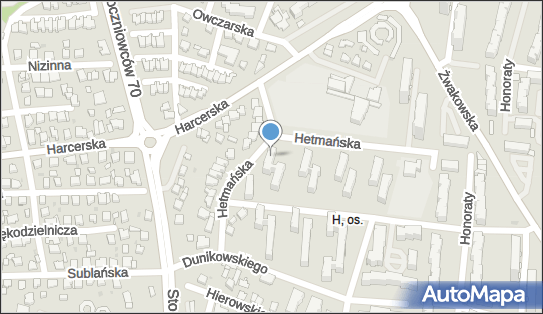 Silesia VR Beniamin Paluch, Hetmańska 17, Tychy 43-100 - Przedsiębiorstwo, Firma, NIP: 6462690114