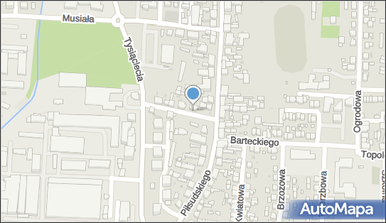 Silver Silvester Maron, Jana Pawła II 2, Nowy Tomyśl 64-300 - Przedsiębiorstwo, Firma, NIP: 9542506025