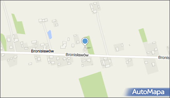 Silwex Barańska Sylwia, Bronisławów 7a, Bronisławów 95-015 - Przedsiębiorstwo, Firma, NIP: 7331178563