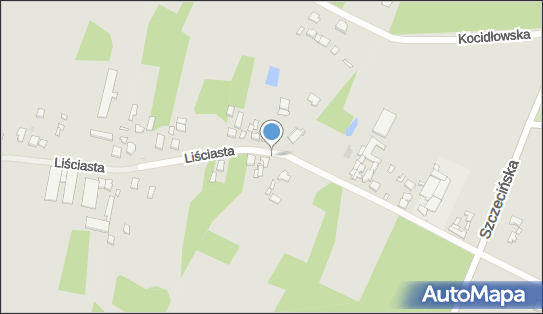 Simba Przedsiębiorstwo Produkcyjno-Handlowo-Usługowe Agnieszka Marusik 95-100 - Przedsiębiorstwo, Firma, NIP: 7281797493