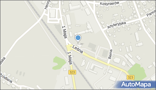 Sim, ul. Leśna 1A, Leszno 64-100 - Przedsiębiorstwo, Firma, numer telefonu, NIP: 6972105304