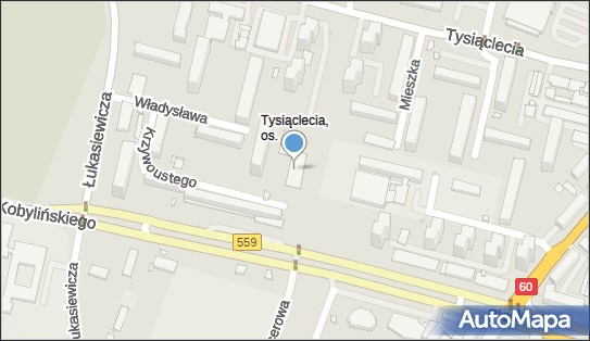 Sklep Artykuły Spożywcze, Bolesława Krzywoustego 3, Płock 09-400 - Przedsiębiorstwo, Firma, NIP: 7741895703