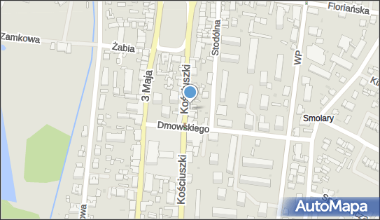 Sklep Asik Tomasz Petz, ul. Tadeusza Kościuszki 9, Gostynin 09-500 - Przedsiębiorstwo, Firma, NIP: 9710547095