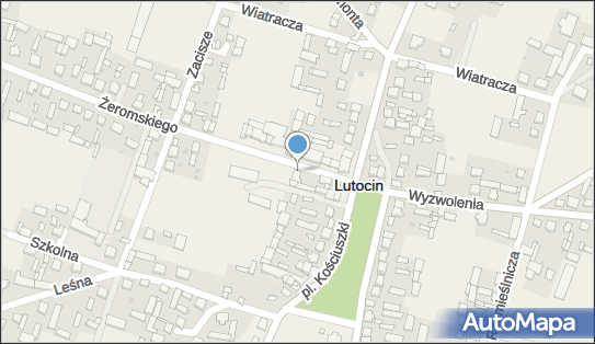 Sklep Delfin, ul. Żeromskiego 1, Lutocin 09-317 - Przedsiębiorstwo, Firma, NIP: 5691039756