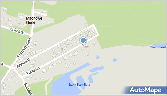 Sklep Dołęgowski, ul. Torfowa 24, Wołomin 05-200 - Przedsiębiorstwo, Firma, NIP: 7231168507