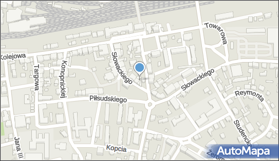 Sklep Muzyczny Dragon, ul. Juliusza Słowackiego 11 43-502 - Przedsiębiorstwo, Firma, numer telefonu, NIP: 6521037345