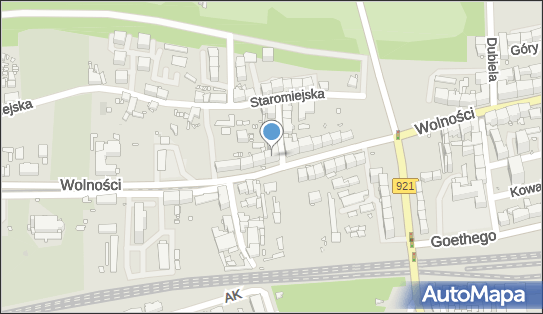 Sklep Ogólnospożywczy Gromex, Wolności 228, Zabrze 41-800 - Przedsiębiorstwo, Firma, NIP: 6311281613