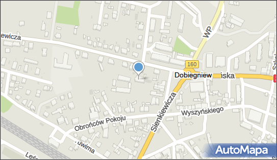 Sklep Ogrodniczo Przemysłowy, ul. Mickiewicza 2/A, Dobiegniew 66-520 - Przedsiębiorstwo, Firma, NIP: 5941006753