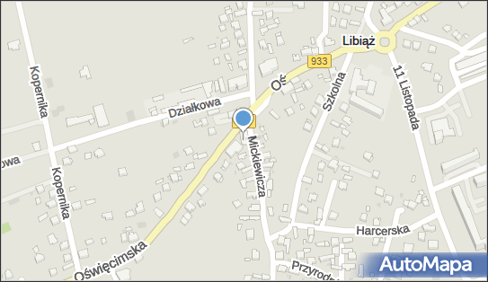 Sklep Przemysłowo Ogrodniczy Krecik, ul. Adama Mickiewicza N 32-590 - Przedsiębiorstwo, Firma, NIP: 6281210599