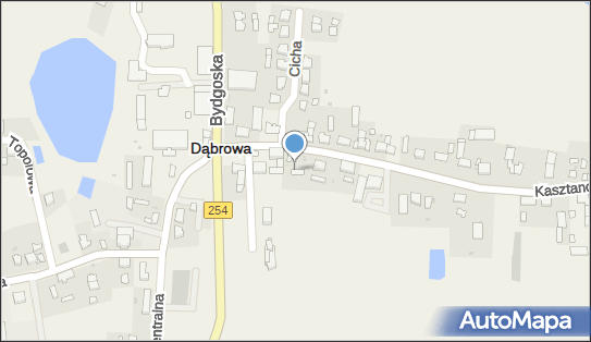 Sklep Przemysłowy, ul. Kasztanowa 10B, Dąbrowa 88-306 - Przedsiębiorstwo, Firma, numer telefonu, NIP: 5571168600