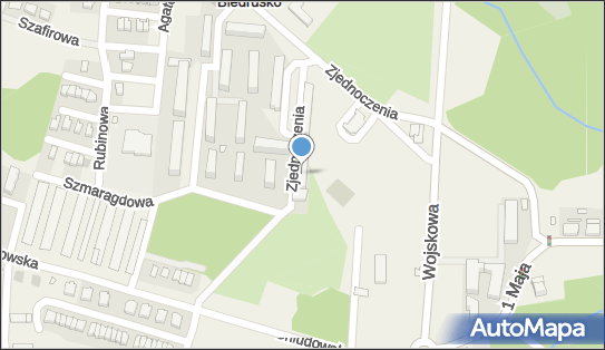 Sklep Spożywczo Przemysłowo, Zjednoczenia 297, Biedrusko 62-003 - Przedsiębiorstwo, Firma, NIP: 7771670417