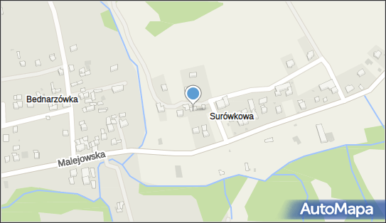 Sklep Spożywczo-Przemysłowy Beata Medes, Naprawa 2, Naprawa 34-240 - Przedsiębiorstwo, Firma, NIP: 5521434531