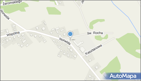 Sklep Spożywczo Przemysłowy Dawid Górczak, ul. C. K. Norwida 28 07-230 - Przedsiębiorstwo, Firma, NIP: 7621999831