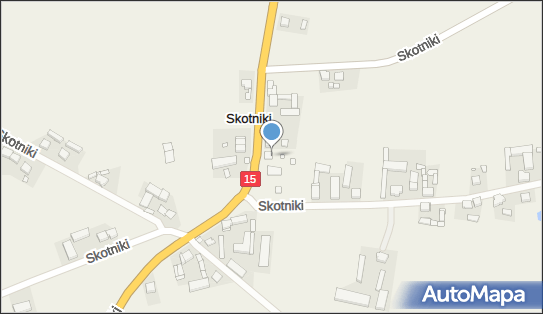 Sklep Spożywczo Przemysłowy Ewa Goździewicz, Skotniki 21 62-320 - Przedsiębiorstwo, Firma, NIP: 7891006604