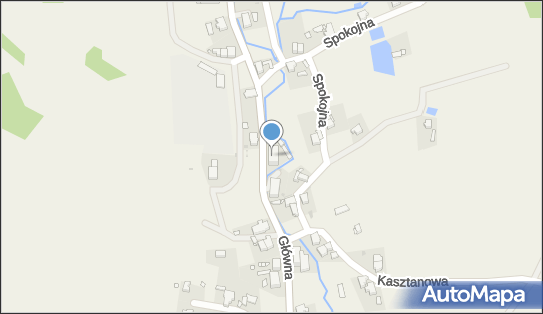 8850002248, Sklep Spożywczo-Przemysłowy i Monopolowy Erika Osowska 