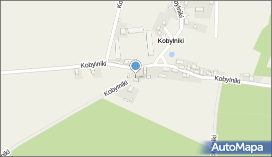 Sklep Spożywczo-Przemysłowy Kontek Iwona, Kobylniki 3, Kobylniki 55-300 - Przedsiębiorstwo, Firma, NIP: 9131006775