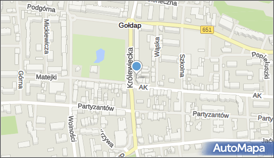 Sklep Spożywczo Przemysłowy Smaczek, pl. Zwycięstwa 21A, Gołdap 19-500 - Przedsiębiorstwo, Firma, numer telefonu, NIP: 8471243226