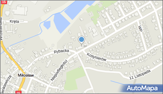 Sklep Spożywczo Przemysłowy, ul. Niepodległości 9, Miłosław 62-320 - Przedsiębiorstwo, Firma