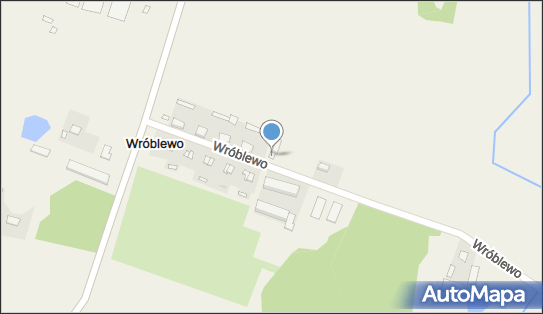 Sklep Spożywczo Przemysłowy, Wróblewo 13, Wróblewo 06-420 - Przedsiębiorstwo, Firma, NIP: 5661075546