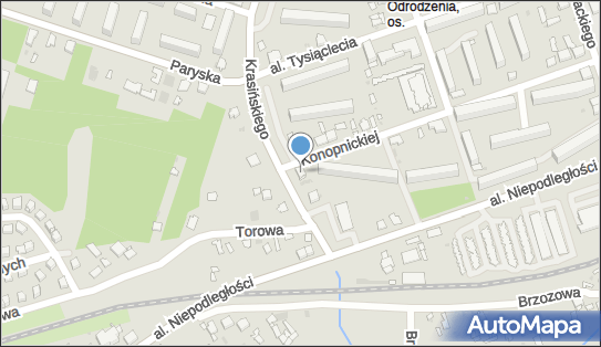 Sklep Spożywczy, ul. Konopnickiej BN, Skarżysko-Kamienna 26-110 - Przedsiębiorstwo, Firma, NIP: 6631408943