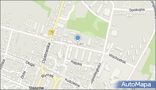 Sklep Spożywczy, Wschodnia 9, Staszów 28-200 - Przedsiębiorstwo, Firma, numer telefonu, NIP: 8661013386