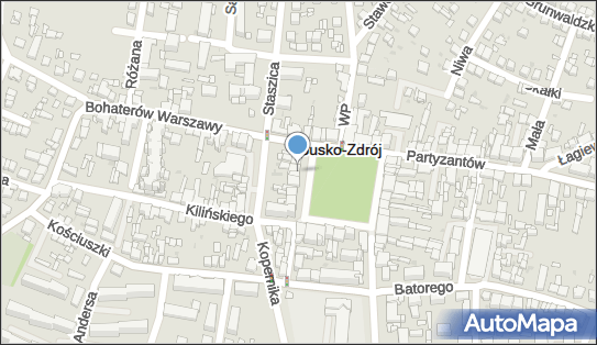 Sklep Warzywno Spożywczy, pl. Zwycięstwa 3, Busko-Zdrój 28-100 - Przedsiębiorstwo, Firma, NIP: 6550007967