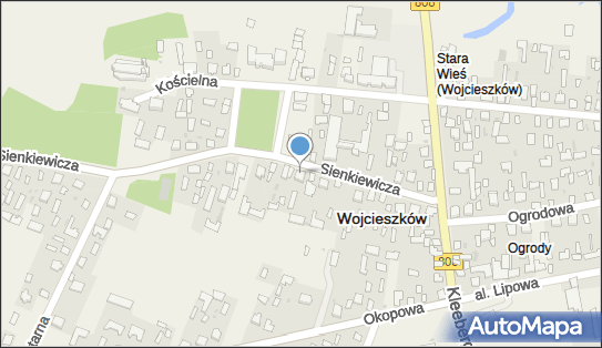 Sklep Wielobranżowy, ul. Henryka Sienkiewicza 20, Wojcieszków 21-411 - Przedsiębiorstwo, Firma, NIP: 8251730639