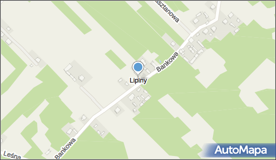 Sklep Wielobranżowy, Lipiny 48, Lipiny 07-230 - Przedsiębiorstwo, Firma, NIP: 7621011096