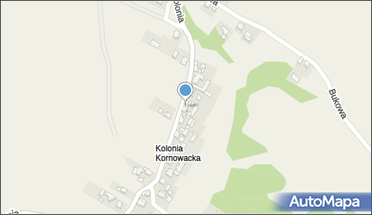 Sklep Wielobranżowy, Kolonia 11, Kornowac 44-285 - Przedsiębiorstwo, Firma, NIP: 6420401401