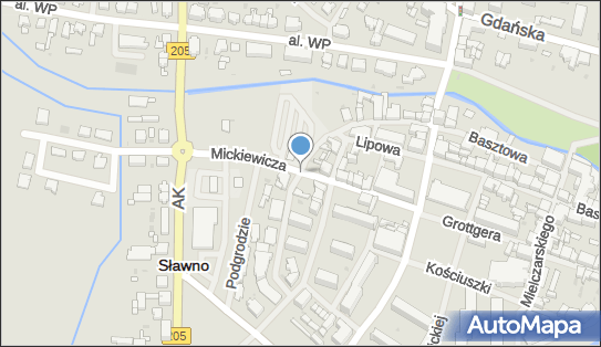 Sklep Wielobranżowy, Mickiewicza Adama, Sławno 76-100 - Przedsiębiorstwo, Firma, NIP: 8391517443