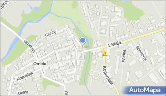 Sklep Zoologiczny, ul. 1 Maja 3, Orneta 11-130 - Przedsiębiorstwo, Firma, NIP: 5821021661