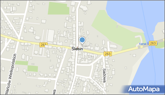 SklepViktoria Firany Arleta Trawczyńska, ul. Napoleona 3, Ślesin 62-561 - Przedsiębiorstwo, Firma, NIP: 6661438676