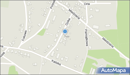 Sklep, Dzika 10, Gubin 66-620 - Przedsiębiorstwo, Firma, NIP: 9261436876