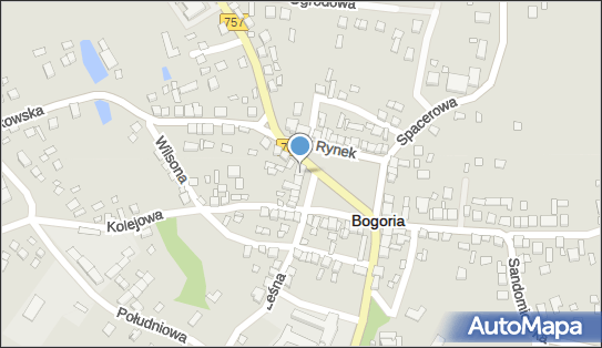 Sklp Toudi, Rynek 26, Bogoria 28-210 - Przedsiębiorstwo, Firma, NIP: 8661298851