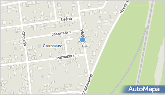 Skrzypczak Elżbieta, Wodna 5, Mosina 62-050 - Przedsiębiorstwo, Firma, NIP: 7771722479