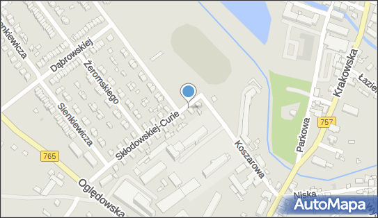 Skup i Sprzedaż Owoców i Warzyw, ul. Marii Skłodowskiej-Curie 1 28-200 - Przedsiębiorstwo, Firma, NIP: 8661289591